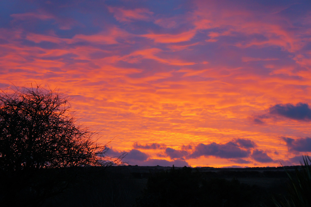 Winter Sunset